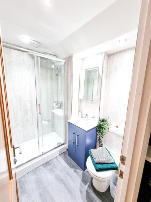 Gorgeous Newly Renovated 2 Double Bed Flat Apartment Swansea Exterior foto